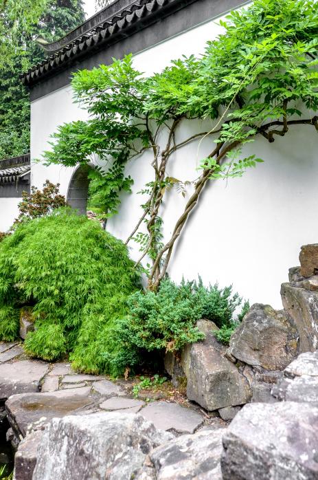 wdf - wupper digitale fotografie - Chinesischer Garten RUB - Teil 2