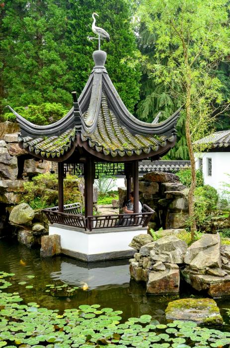wdf wupper digitale fotografie Chinesischer Garten RUB Teil 2