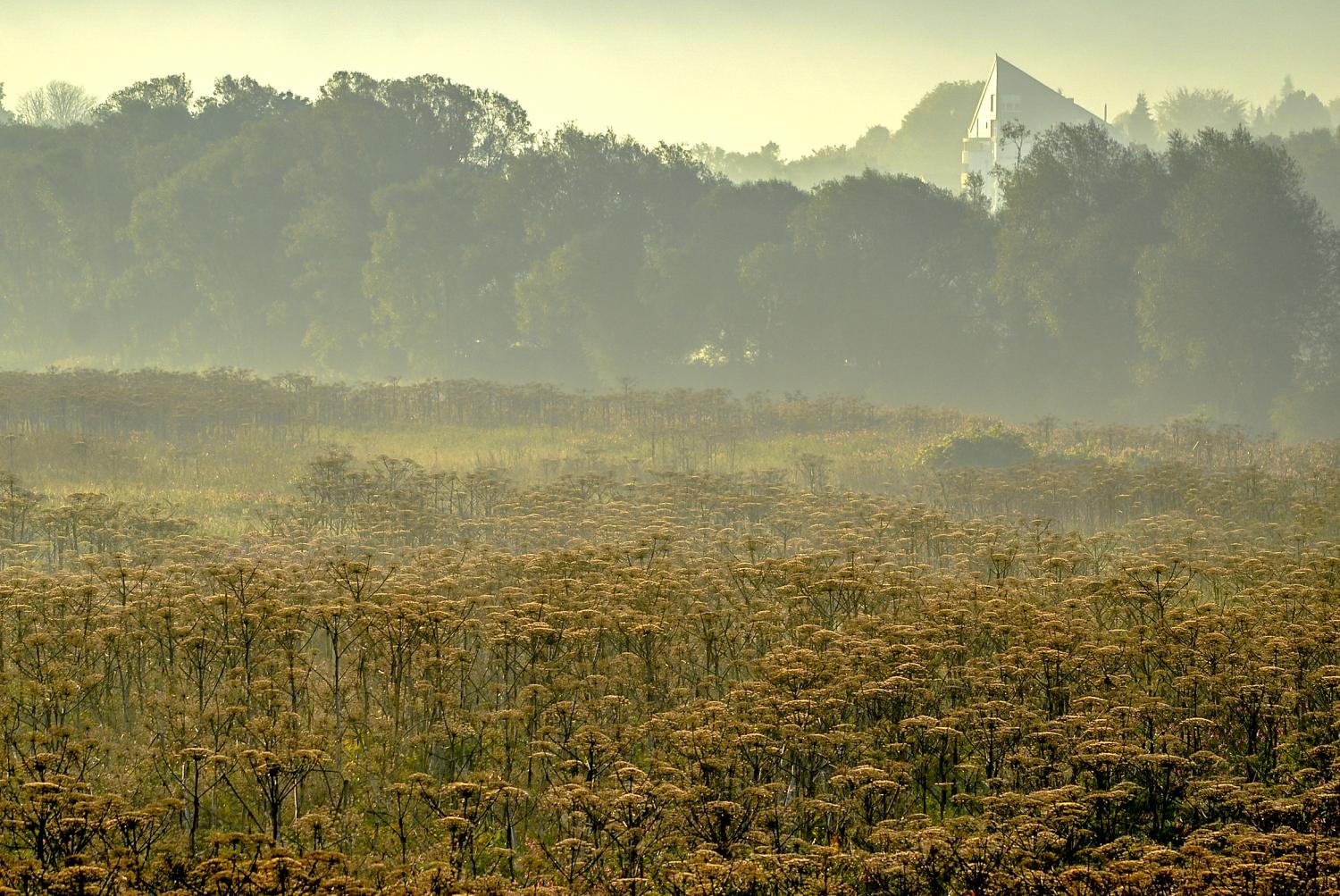 wdf - wupper digitale fotografie - Morgens um 7